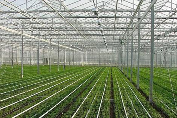 通遼鋼結(jié)構(gòu)大棚